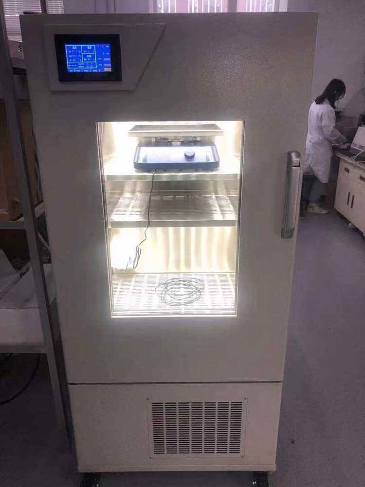 光照培養(yǎng)箱(136L) 光照培養(yǎng)箱(136L)